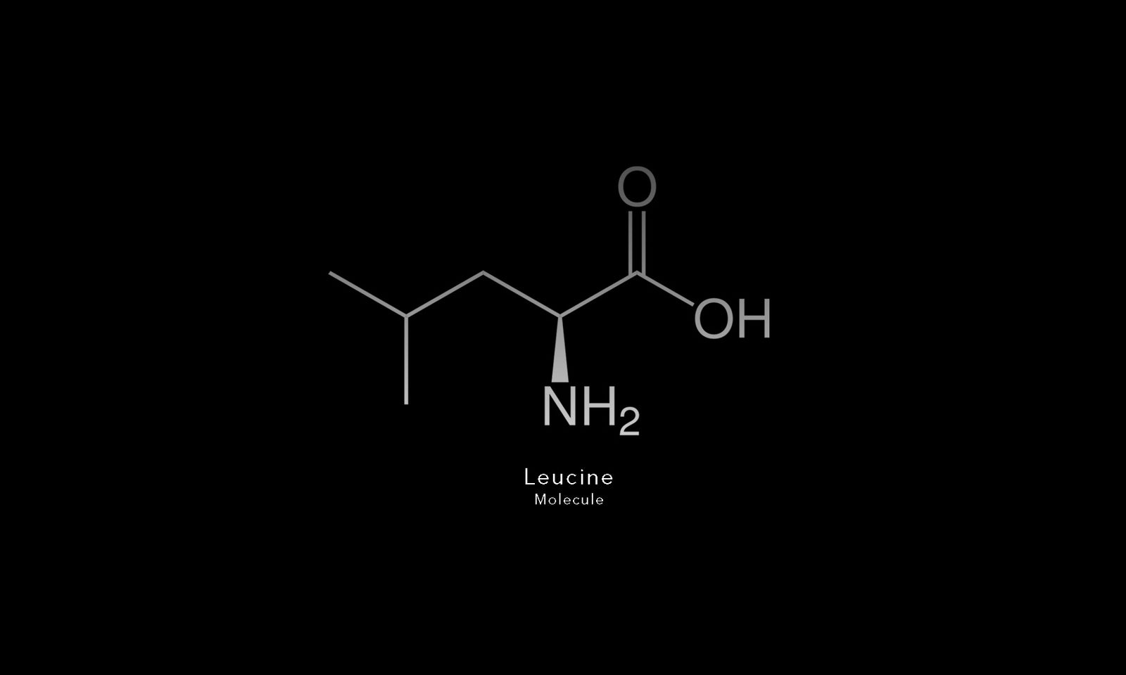 The Ultimate Guide to Dietary Protein and Amino Acids